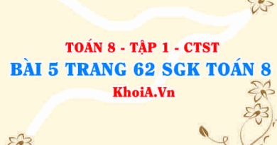 Bài 5 trang 62 SGK Toán 8 Tập 1 Chân trời sáng tạo